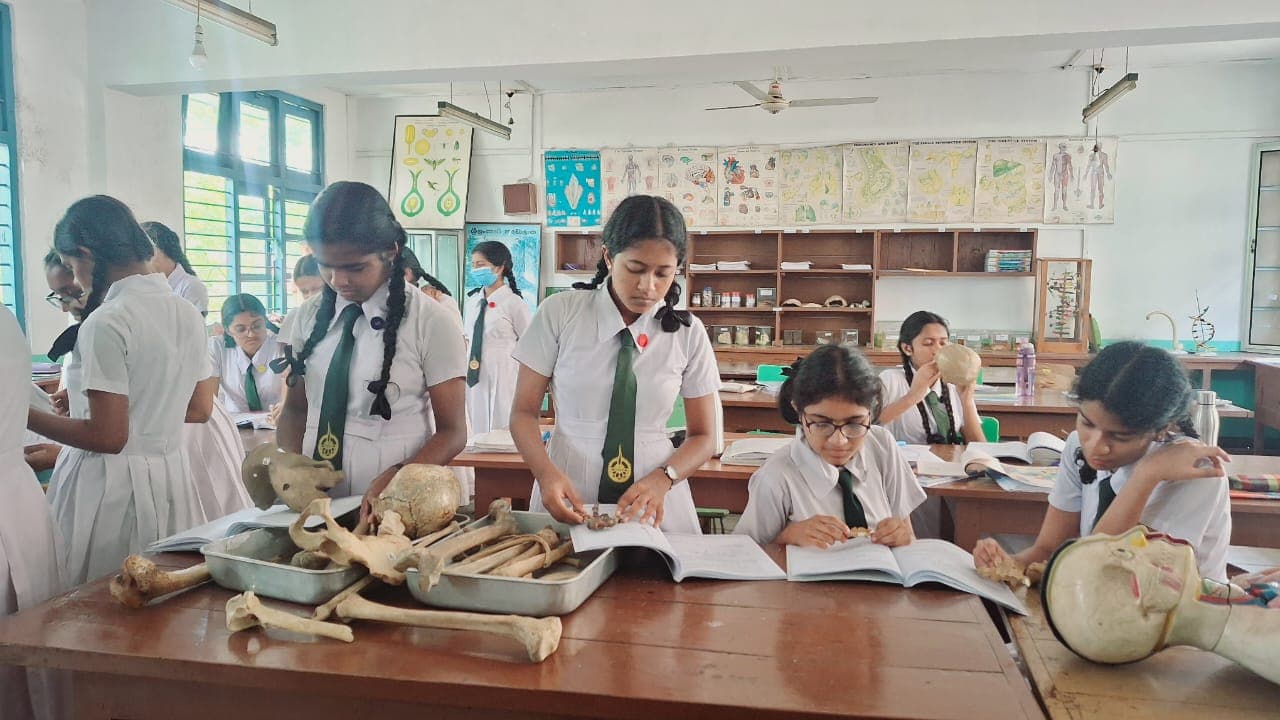 මොරටුව විශ්වවිද්‍යාලය