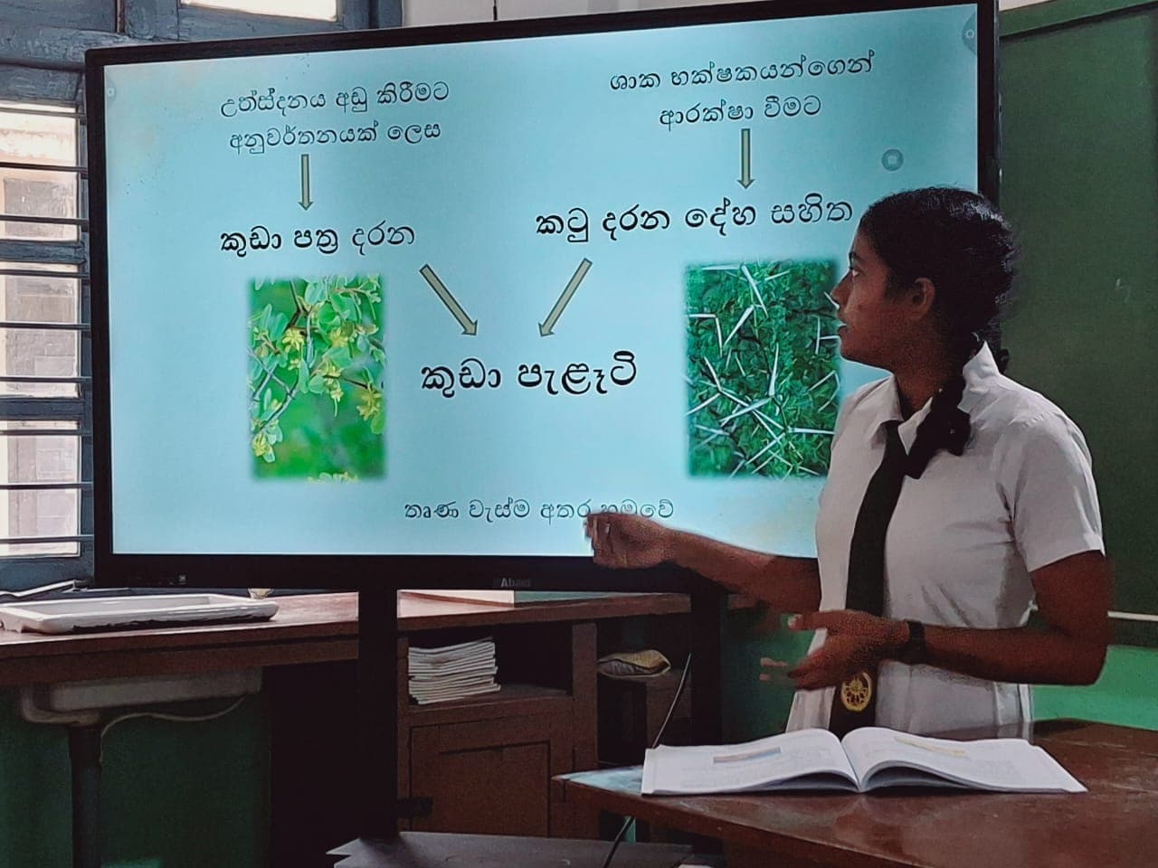 Grade 6–11 Science